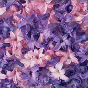 Meet your Posher, Jo